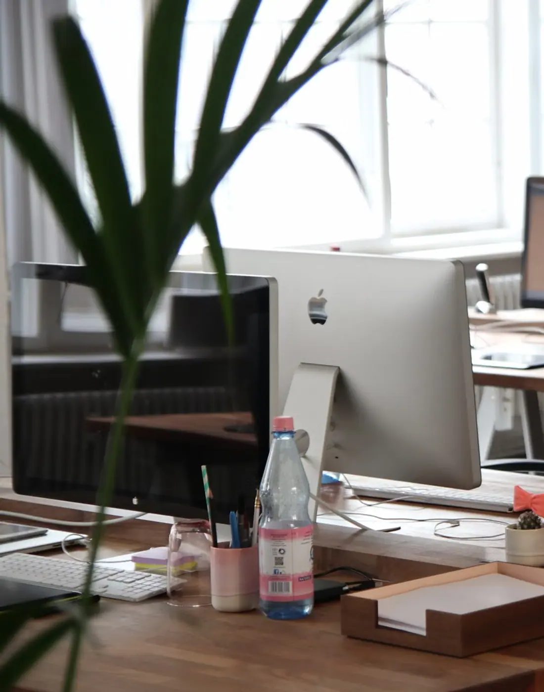 A sunlit desk with a monitor and a plant. This is an editorial photograph, not the evalesaree office.